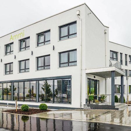 Ammi Hotel Garni イニング・アム・アマーゼー エクステリア 写真